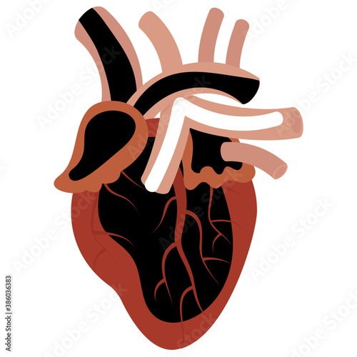 
A fist shaped human organ for pumping blood is shown here to denote heart icon
