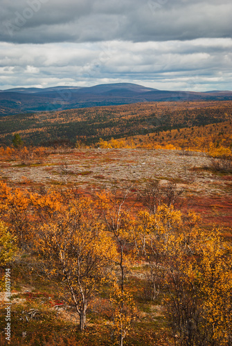 The scenery of wild and autumn nature of the Finnmark region of Norway