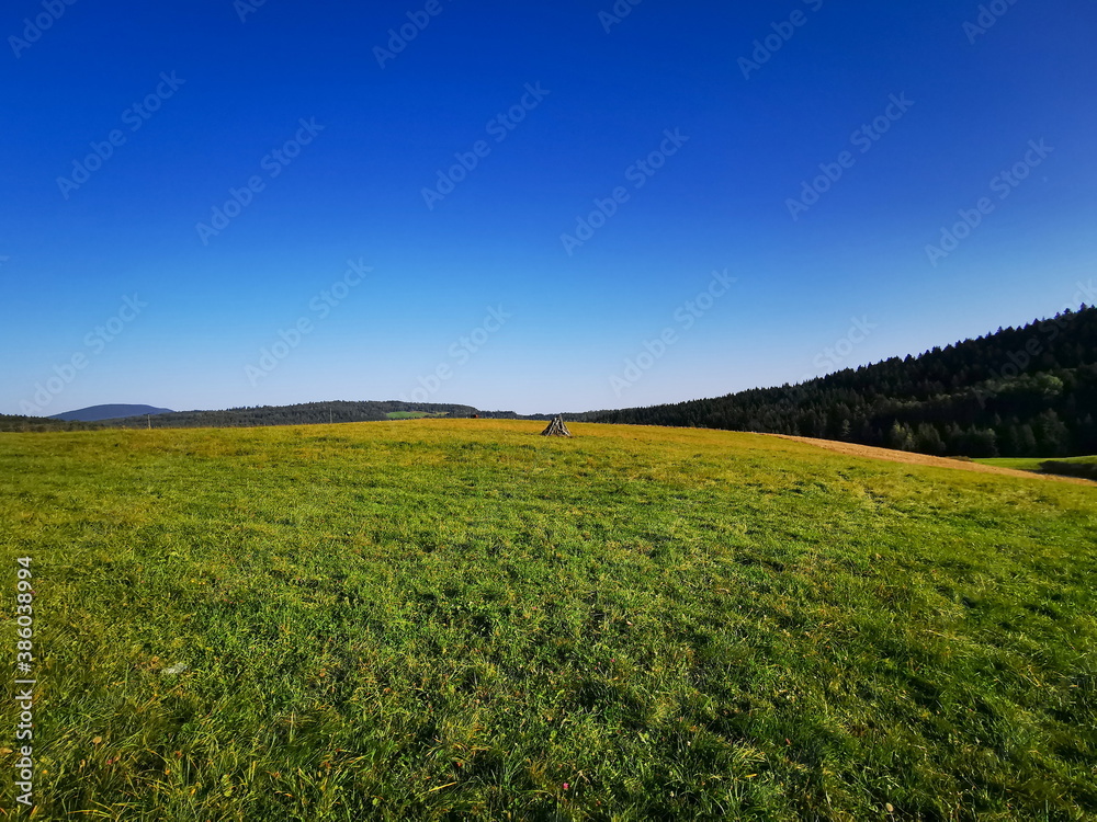 mountain meadow in the glow of the setting sun