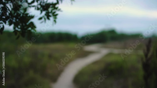 Walking on a Sandy Trail