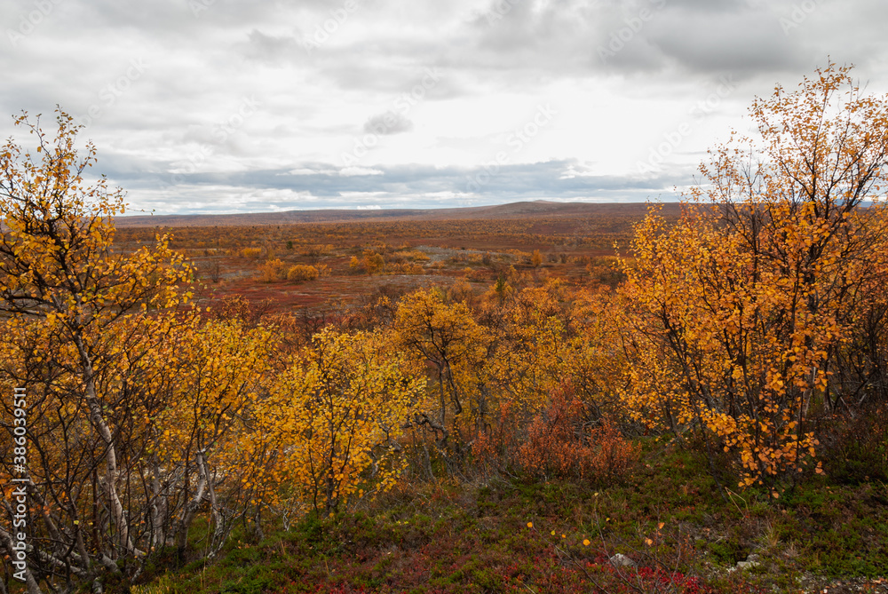 The scenery of wild and autumn nature of the Finnmark region of Norway The scenery of wild and autumn nature of the Finnmark region of Norway