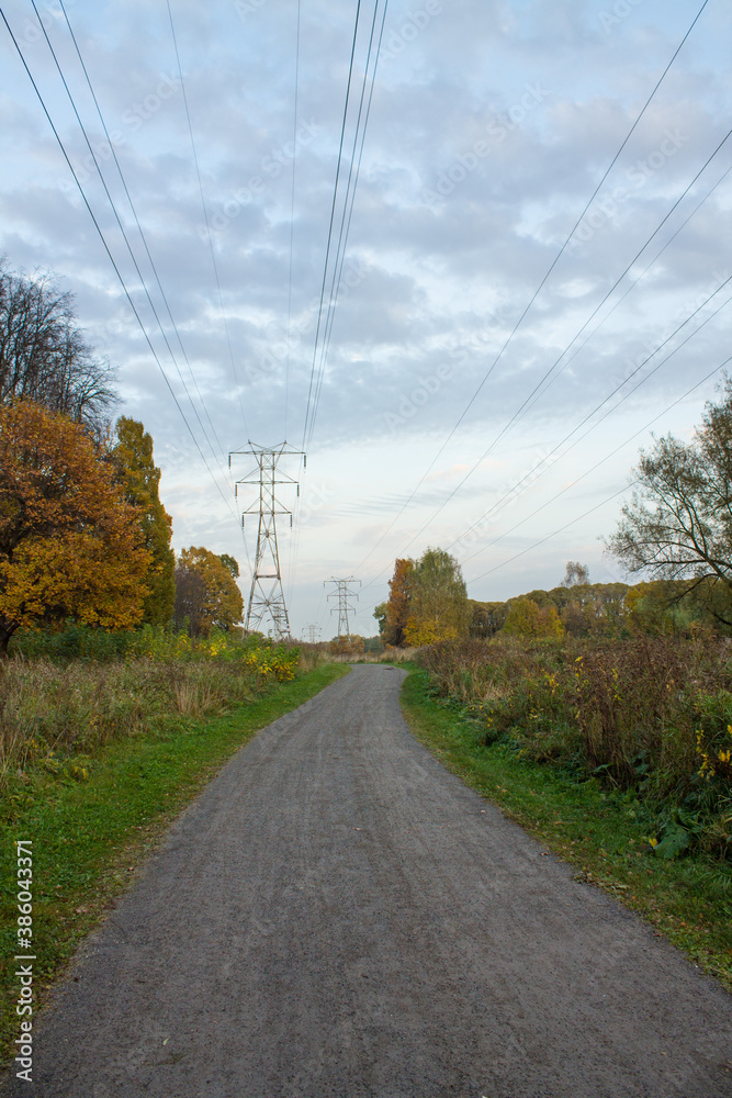 Autumn landscape - road among yellowed trees and overcast sky and space for copying
