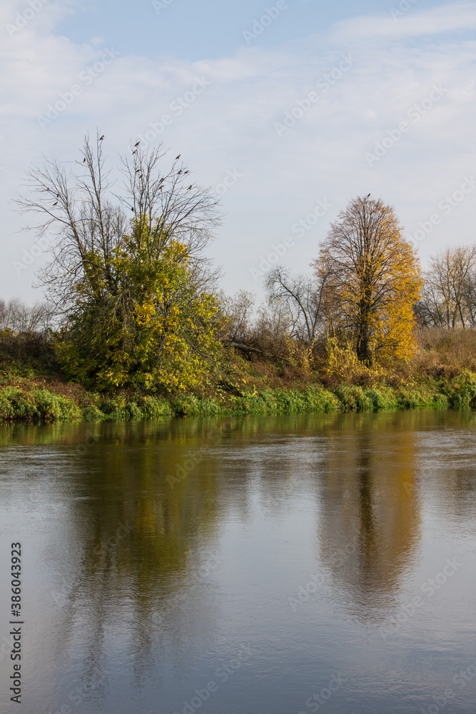 Large green tree on the river Bank with reflection and cloudy sky. Autumn landscape and copy space