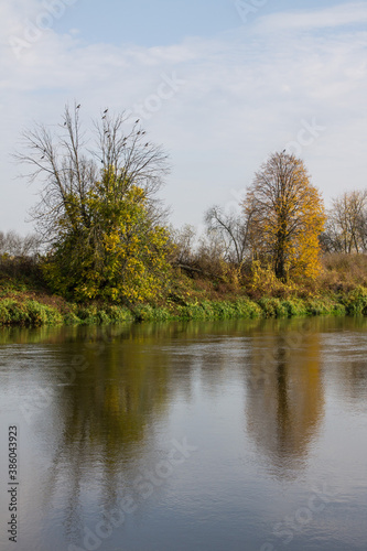 Large green tree on the river Bank with reflection and cloudy sky. Autumn landscape and copy space