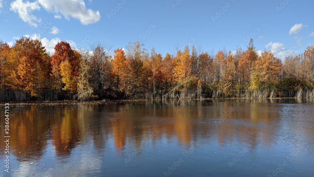 autumn trees reflected in water