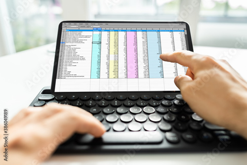 Analyst Using Spreadsheet Report