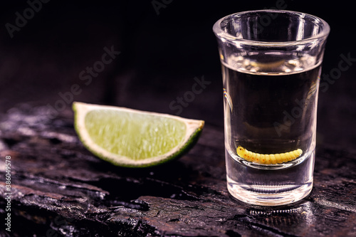several glass of mezcal (or mezcal), typical and exotic brandy from mexico, with larva in the background and lemon, originally from the state of Oaxaca