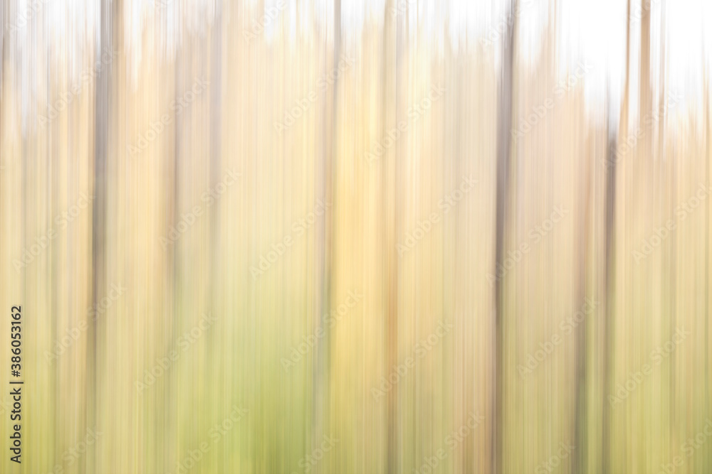 Abstract woods in autumn using intentional camera movement (ICM) Abstract woods in autumn using intentional camera movement (ICM)