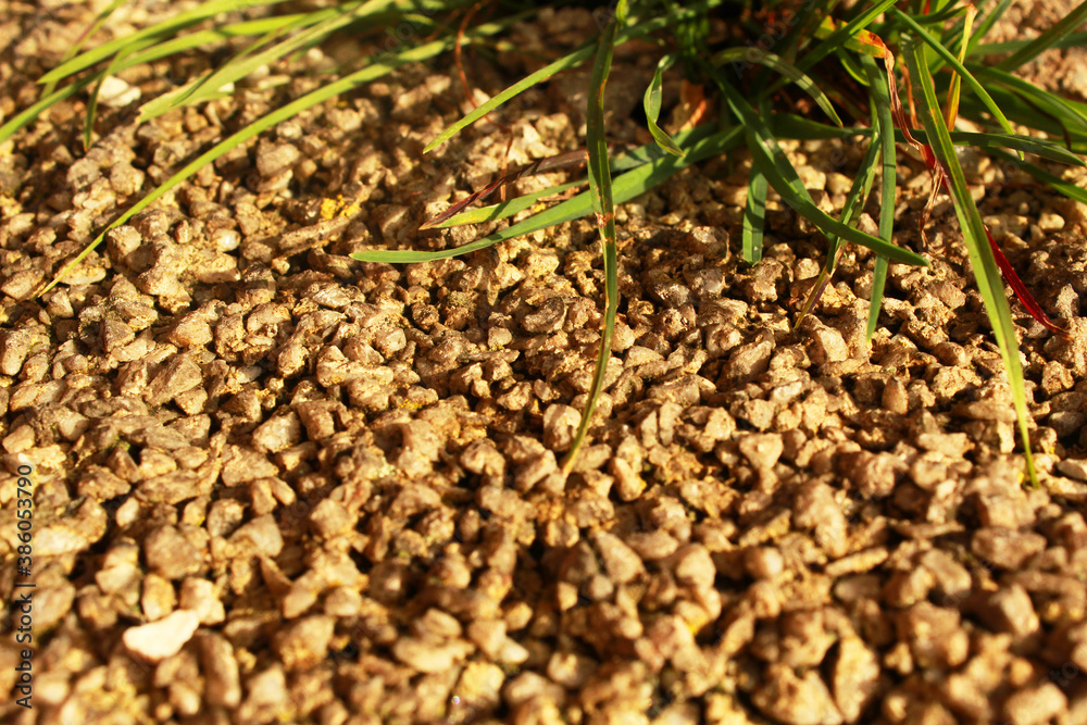 sand and stones with plant background