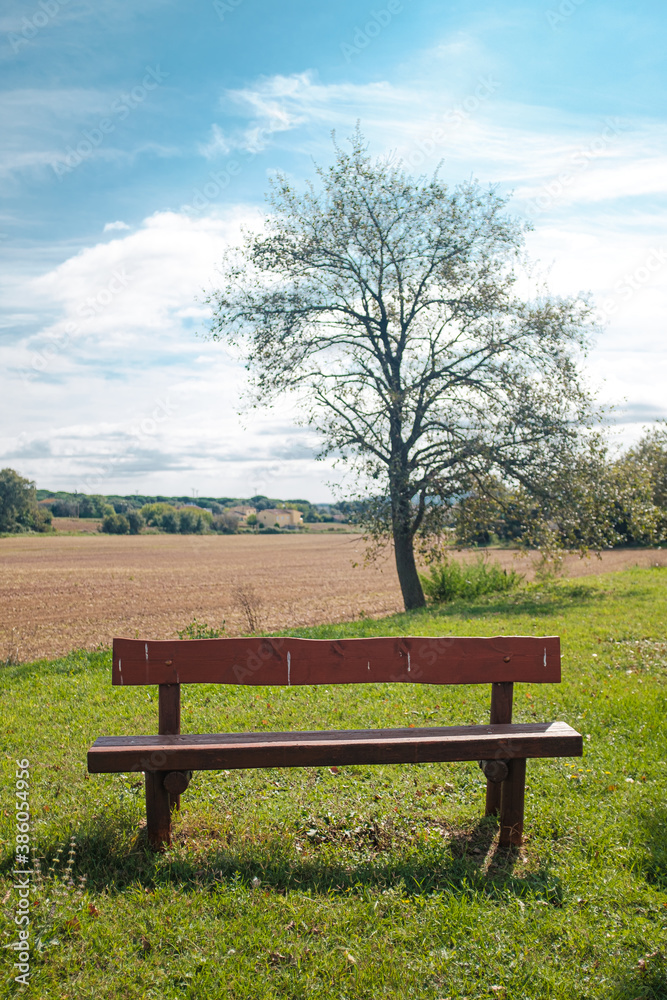 Wooden fence empty on a green field meadow plain landscape Wooden fence empty on a green field meadow plain landscape