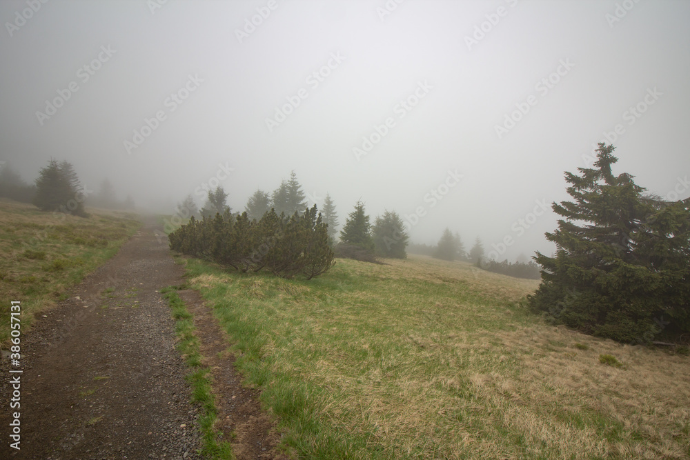 Foggy day in mountain chain Krkonoše Foggy day in mountain chain Krkonoše