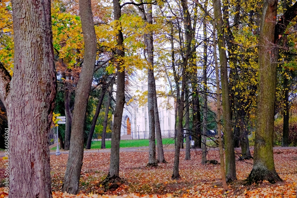 Peterhof, autumn evening, mid-October Peterhof, autumn evening, mid-October