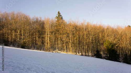 la neige sur montagne en hier vacances, jolie arrière plan