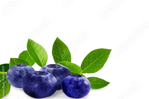 fresh blueberry fruit with leaves closeup in white background