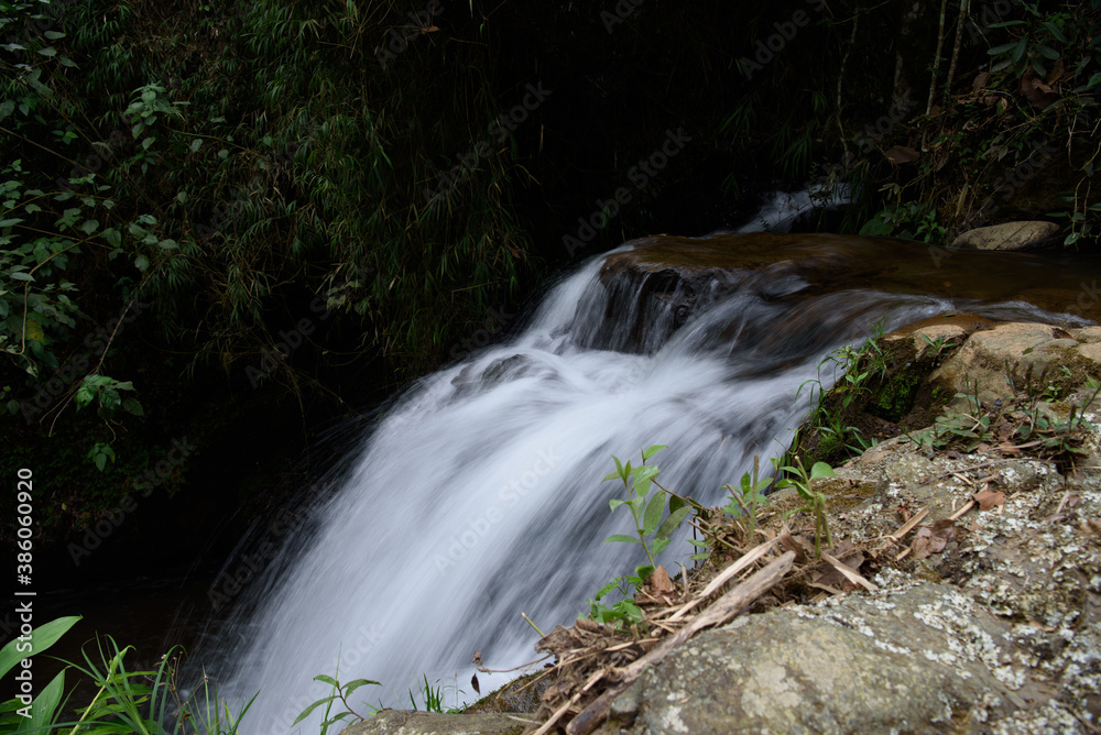 Fototapeta premium waterfall in the forest