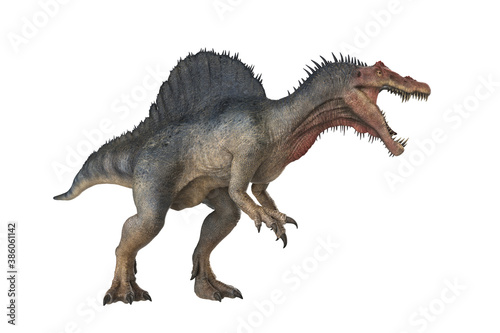Dinosaur spinosaurus 