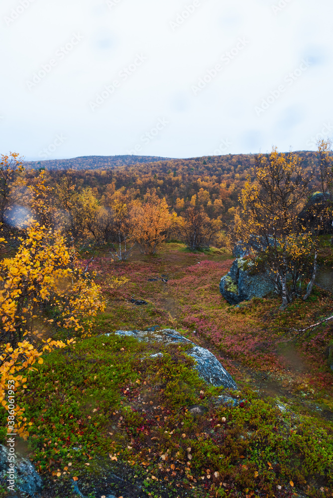 Autumn nature around Háldí mountain in Finnmark region of Norway
