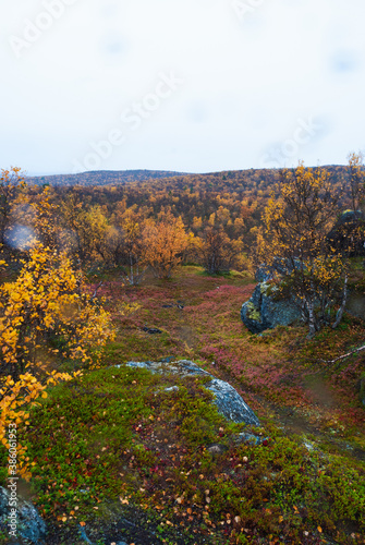 Autumn nature around Háldí mountain in Finnmark region of Norway 
