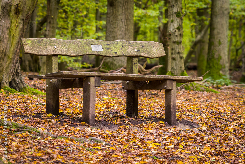 A bench in the park A bench in the park