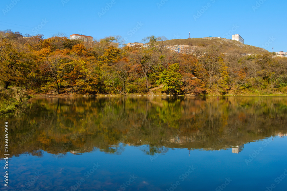 A pond near the city limits with reflections of adjacent high-rise buildings and autumn trees.