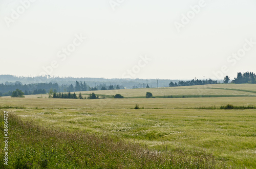 View of fields and forests