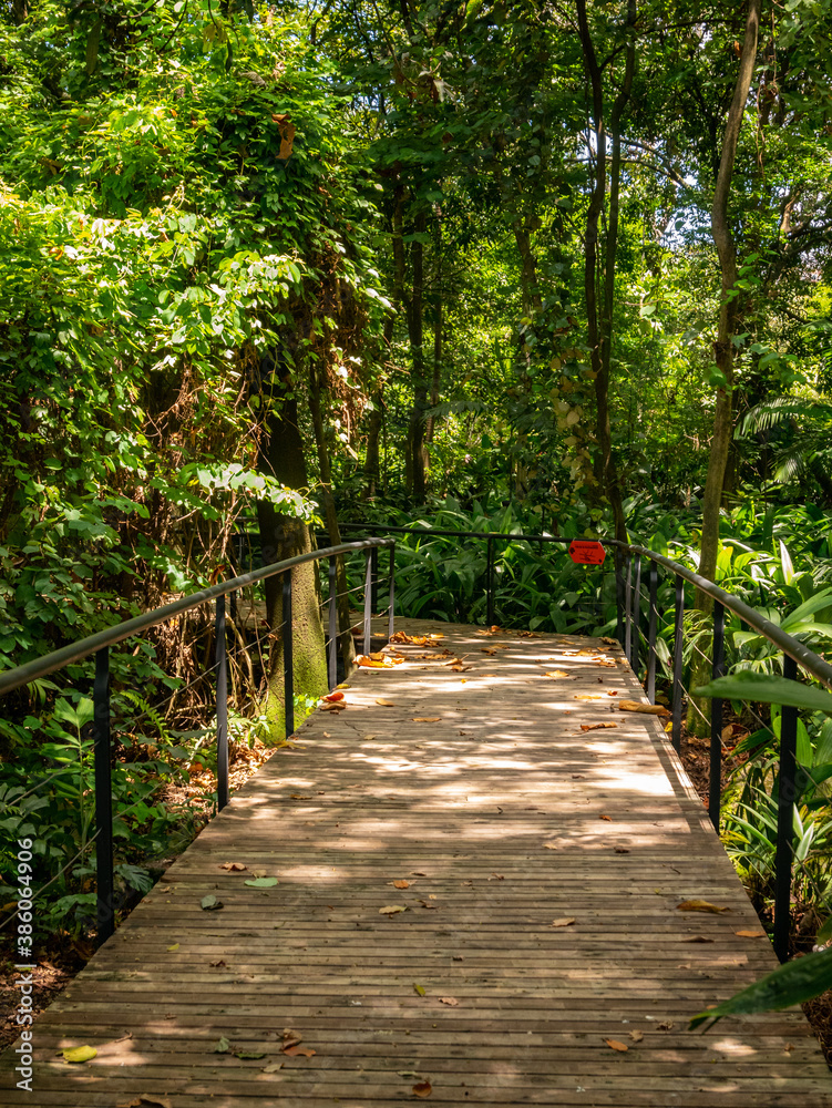 Wooden Bridge in the Middle of the Nature in Medellin, Colombia Wooden Bridge in the Middle of the Nature in Medellin, Colombia