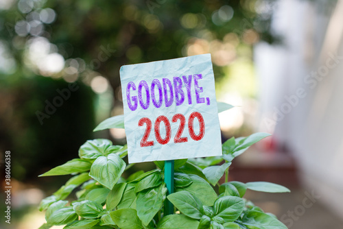 Word writing text Goodbye 2020. Business photo showcasing New Year Eve Milestone Last Month Celebration Transition Plain empty paper attached to a stick and placed in the green leafy plants photo