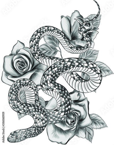 snake black white tattoo sketch graphic with roses vector illustration 