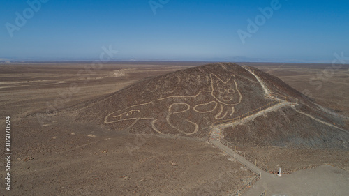 Un gato de unos 37 metros de largo reposando sobre una colina arenosa es la nueva figura que los arqueólogos del Ministerio de Cultura peruano han encontrado en la Pampa de Nazca. photo