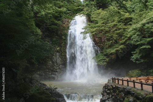 Fototapeta Naklejka Na Ścianę i Meble -  waterfall in the forest
