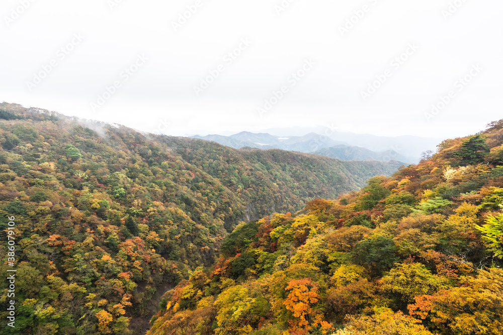 栃木県・奥日光・紅葉の秋