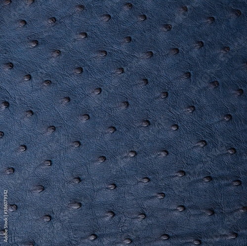 ostrich skin in blue color