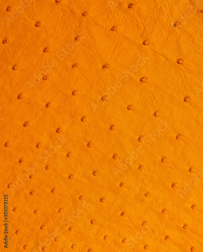 ostrich skin in orange color