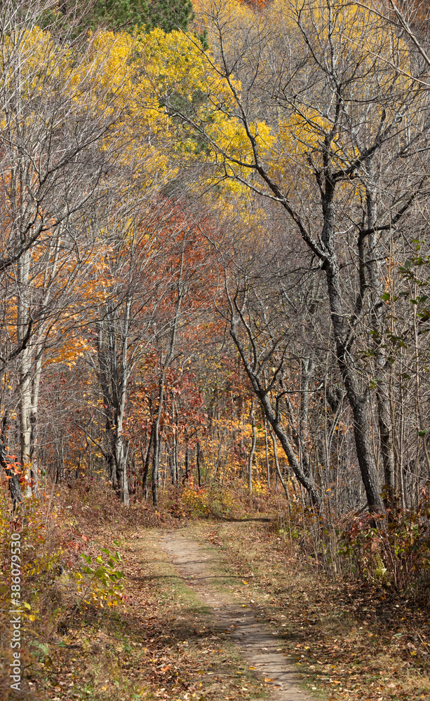 Arrowhead Lake Trail in autumn colors and with partially bare trees