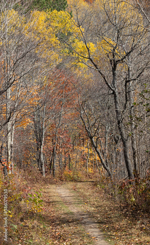 Arrowhead Lake Trail in autumn colors and with partially bare trees