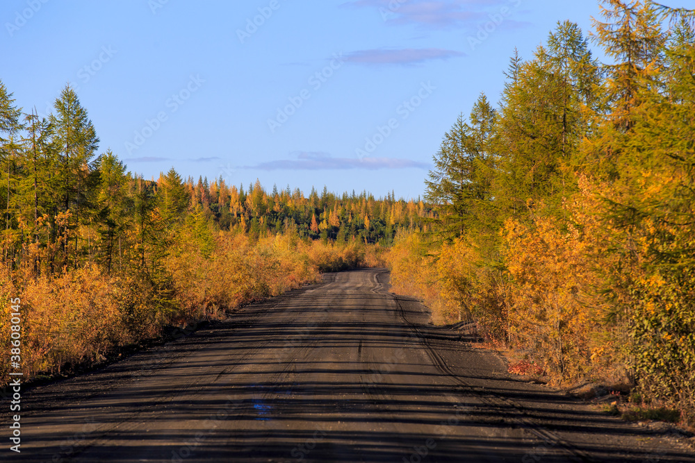 The nature of the Magadan region. Forest road among taiga during golden autumn. Dirt road The nature of the Magadan region. Forest road among taiga during golden autumn. Dirt road