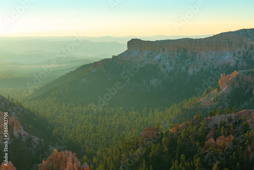 Bryce Canyon valley. Pine tree forest filled with morning sunlight photo