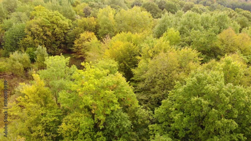 Autumn Forest Aerial Drone View. Aerial View of Autumn Forest. Fall Landscape With Red Yellow Green Trees. Mixed Forest, Green Conifers, Deciduous Trees With Yellow Leaves. Nature Landscape background Autumn Forest Aerial Drone View. Aerial View of Autumn Forest. Fall Landscape With Red Yellow Green Trees. Mixed Forest, Green Conifers, Deciduous Trees With Yellow Leaves. Nature Landscape background