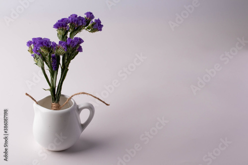 Purple flowers on a white background. Copy space.