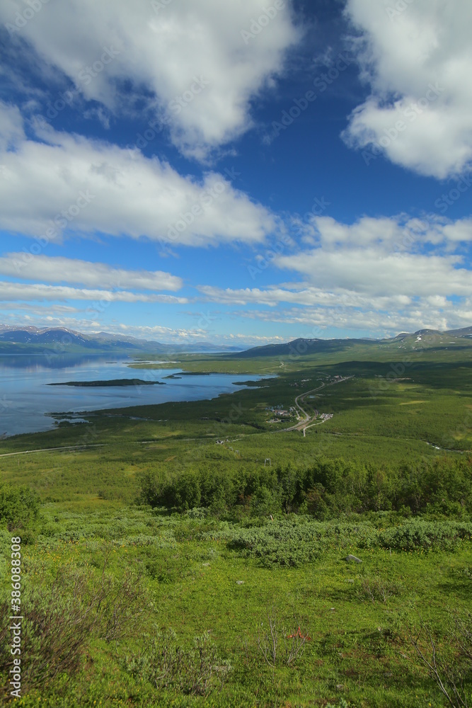 Lush vegetation around the Swedish town Abisko in Summer Lush vegetation around the Swedish town Abisko in Summer