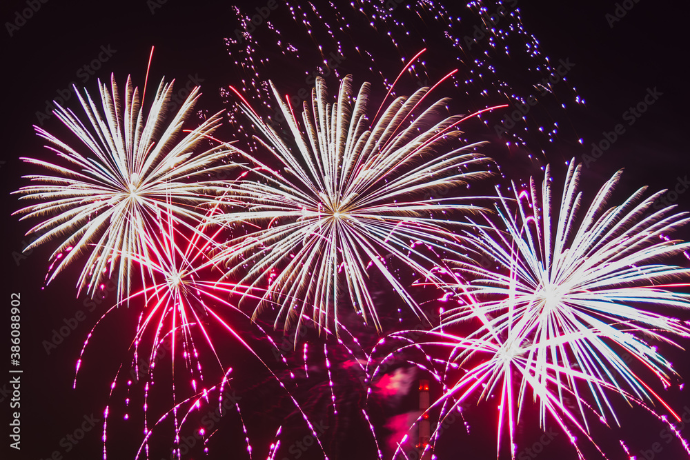 fireworks glow pink and purple on the night sky. fireworks glow pink and purple on the night sky.
