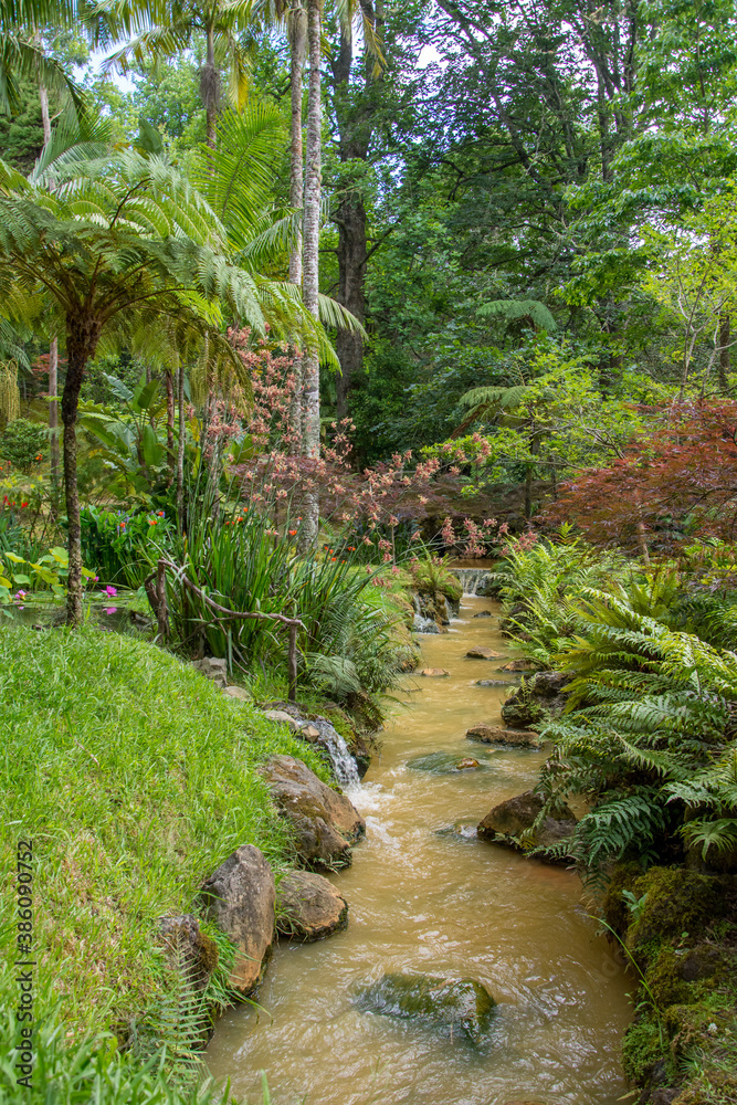 Discovery of the island of Sao Miguel, on the Azores archipelago. Furnas Discovery of the island of Sao Miguel, on the Azores archipelago. Furnas