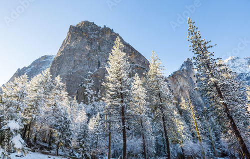 Winter in Yosemite