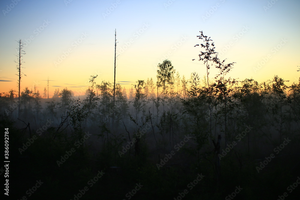 Foggy summer sunrise in Vasterbotten, northern Sweden