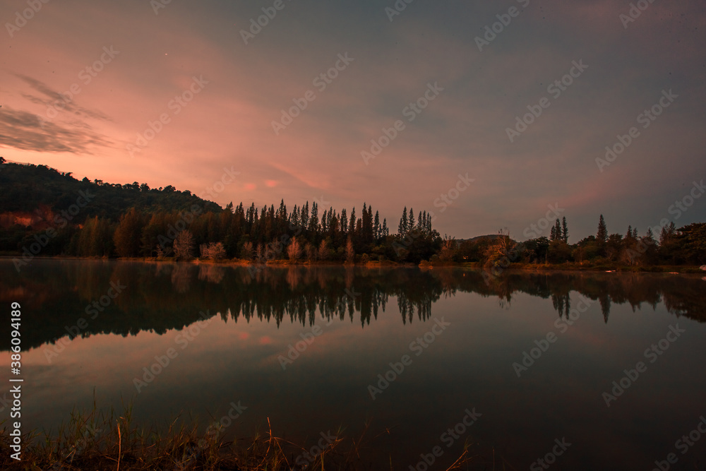 Fototapeta premium Blurred nature background view of naturally occurring trees and reflection on the water surface, the beauty of ecosystems at various vantage points.