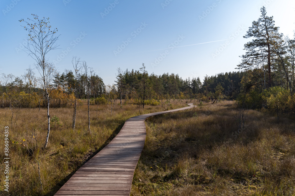 Wooden walkway on the territory of Sestroretsk swamp reserve. Saint-Petersburg. Russia