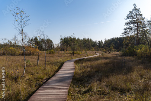 Wooden walkway on the territory of Sestroretsk swamp reserve. Saint-Petersburg. Russia