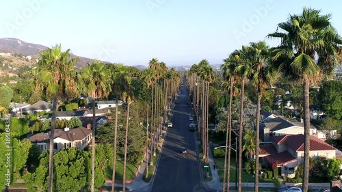 Nicee palm tree lined neighborhood street drone view