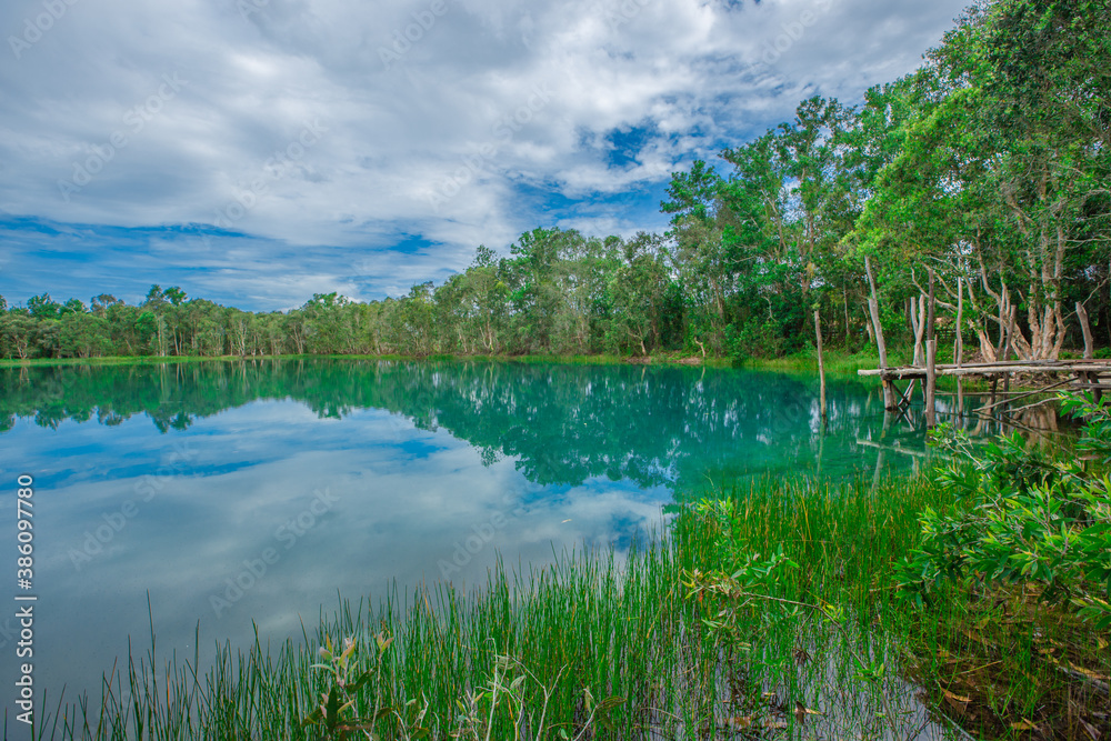 Nature wallpaper The atmosphere along the natural reservoir is beautiful emerald green, surrounded by trees and various plants, with cool breezes.