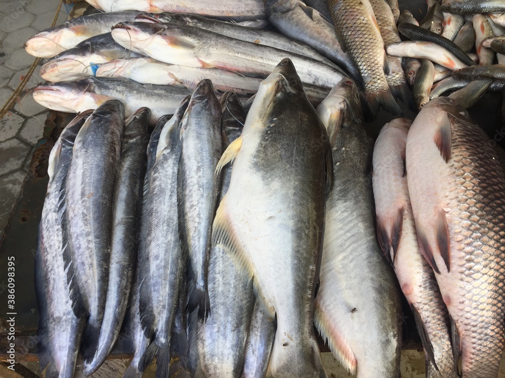 Obraz premium Fresh fish shop.